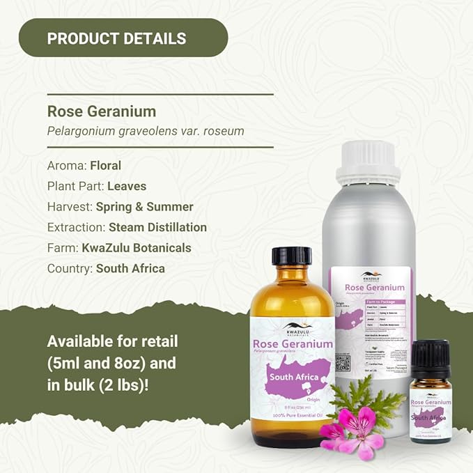 Rose Geranium Essential Oil - Direct from Kwazulu Botanicals in South Africa- Organic Essential Oils for Body, Diffusers, or Aromatherapy | Pure Therapeutic Grade (5ml)