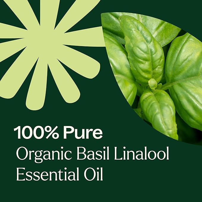 Plant Therapy USDA Certified Organic Basil Linalool Essential Oil 10 mL (1/3 oz) 100% Pure, Undiluted, Aromatherapy, for Muscle Soreness and Digestive Discomfort