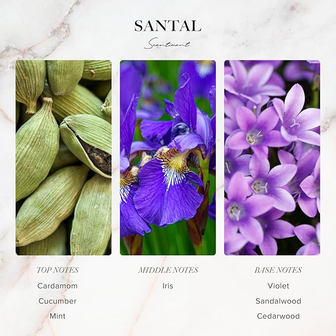Scentiment Diffuser Oil Sample Set – 3 Pack (Royalty, Brilliance, Santal) | Pineapple, Saffron & Cardamom Blends | Luxury Hotel-Inspired Fragrance Oils for Cold Air Diffusers (3 x 20ml / 0.68 Fl Oz)