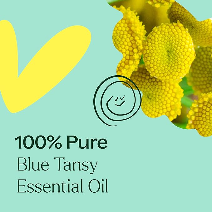 Plant Therapy Blue Tansy Essential Oil, 2.5 mL (1/12 oz), 100% Pure and Undiluted, Natural Aromatherapy for Diffuser or DIY Skincare