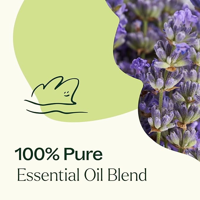 Plant Therapy Blissful Dreams Essential Oil Blend, 30 mL (1 oz), 100% Pure, Undiluted, Natural Aromatherapy for Promoting A Good Night's Sleep