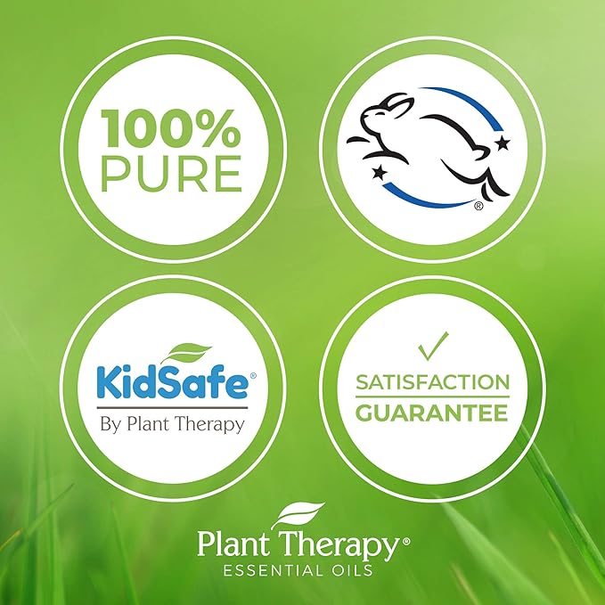 Plant Therapy KidSafe Study Time Essential Oil Blend 10 mL (1/3 oz), 100% Pure, Undiluted, Aromatherapy for Focus, Mind Calming, Concentration Blend for Kids