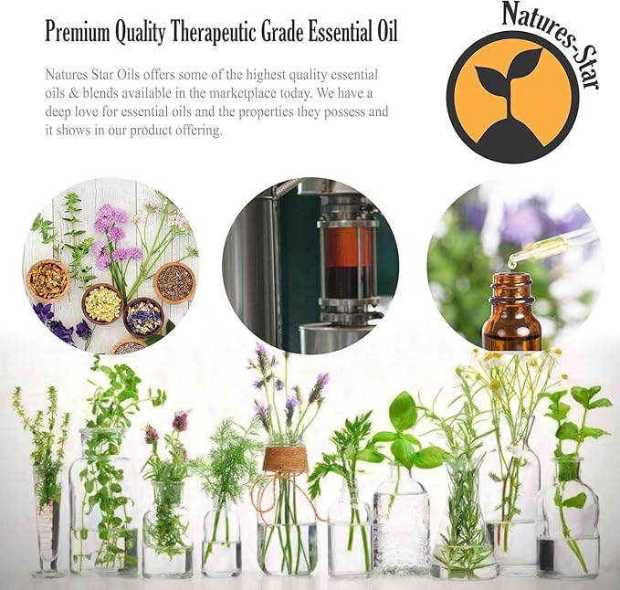 Natures-Star 16oz - Bulk Size Tea Tree Essential Oil (16 Ounce Total) - Therapeutic Grade Essential Oil - 16 Fl Oz Bottle