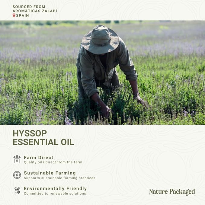 Hyssop Essential Oil - Direct from Aromáticas Zalabí Spain - Steam Distilled - Aceite de Hisopo for Aromatherapy, Massage, Diffuser, DIY Candle and Soap Making - 15ml
