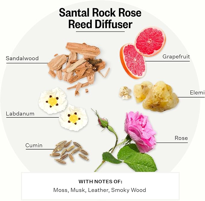 Apotheke Luxury Scented Reed Diffuser for Home, Santal Rock Rose - 6.7 Fl Oz Essential Oil Aromatherapy - 10 Rattan Scent Sticks Room Diffuser - Long-Lasting Fragrance for Bedroom, Home, Bathroom