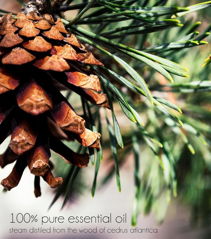 Cedarwood Atlas Essential Oil - 128 fl oz (1 Gallon) Plastic Bottle w/Cap - 100% Pure Essential Oil by GreenHealth