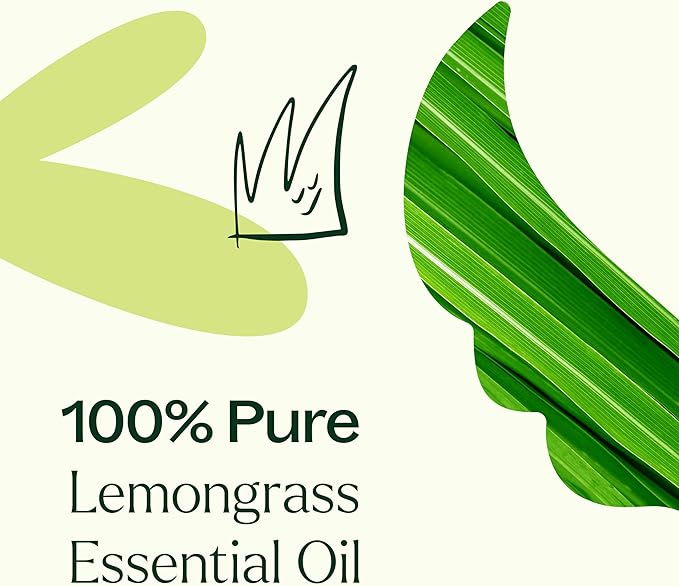Plant Therapy Lemongrass Essential Oil 100 mL (3.3 oz), 100% Pure, Undiluted, Aromatherapy, Deodorizing, and Immune Support