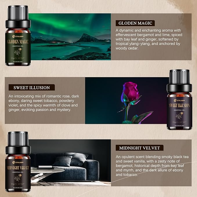 Hotel Collection Diffuser Oil, Hotel Diffuser Oils, Luxury Essential Oil for Diffuser, Soap & Candle Making Scents - 1 Way, Dream State, Coastal Cabine, Gloden Magic