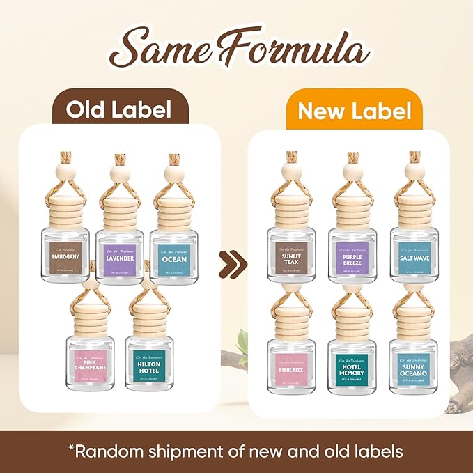 AROIC 24 Pack Car Air Freshener Diffuser, Long Lasting Hanging Fragrance Fresheners Set, Essential Oil Diffuser Scents Accessories, Cute Car Interior for Women & Men