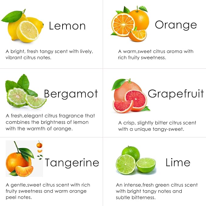 RAINBOW ABBY Citrus Essential Oils Set for Diffuser, Fragrance Oil | Bergamot, Grapefruit, Lemon, Orange, Lime, Tangerine Scented Oil for Soap Making, Candle Making