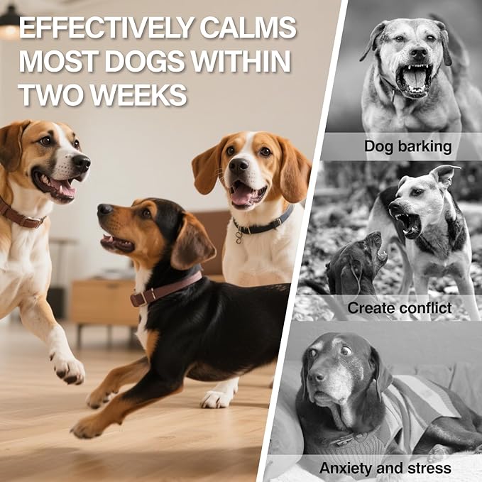 SHANDR Calming Pheromones Dog Diffuser 4 in 1 Appeasing Relaxing Diffuser with Timing Function Pet Kit Anxiety Relief Reduce Aggression Barking Fighting Stress