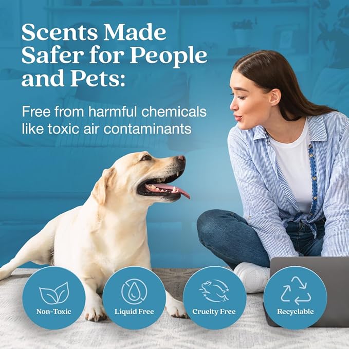 Enviroscent Non-Toxic Air Freshener Plug Hub® Warmer Refillable Kit - Refillable Plug-in Air Freshener - Home Fragrance Lasts Up to 45 Days - Mother’s Day Gift for Mom - Rainwater & Bamboo Scent