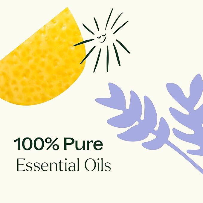 Plant Therapy Sleep Easy Essential Oil Roll On Blend Set 10 mL (1/3 oz) Each of Relax, Sleep Tight & Unwind, Pure, Pre-Diluted, Essential Oil Blends