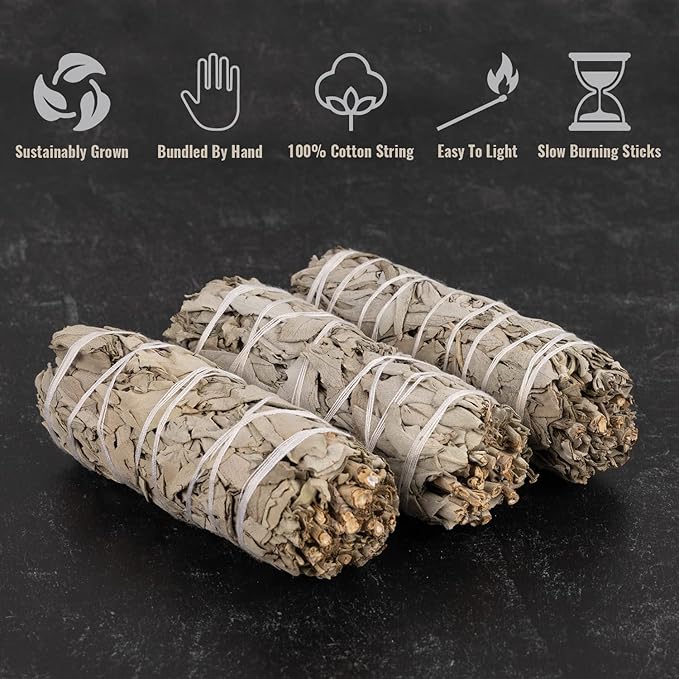 Wish Well Sage Smudge Kit ~ 4" White Sage Smudge Stick, Palo Santo Sticks, Abalone Shell, Stand, Feather ~ Cleansing House & Meditation ~ Energy Healing & Reiki ~ Perfect Starter Kit with Instructions