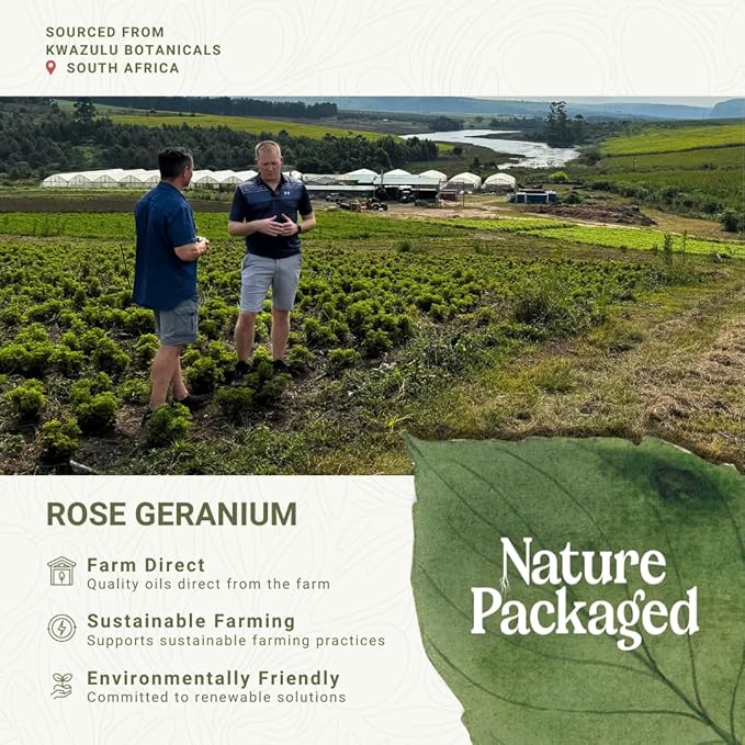 Rose Geranium Essential Oil - Direct from Kwazulu Botanicals in South Africa- Organic Essential Oils for Body, Diffusers, or Aromatherapy | Pure Therapeutic Grade (5ml)