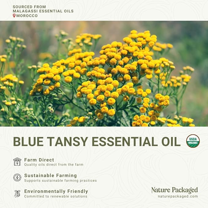 Organic Blue Tansy Essential Oil Direct from Malagassi Essential Oils - Ideal in Face Oil - Organic Blue Tansy for Candle Making and Soap Making (5 mL)
