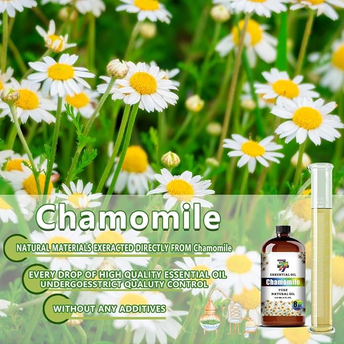 Chamomile Essential Oil - GV77ZF Chamomile Oils for Diffusers, Humidifiers, DIY Candles, Soap, Cleaning, Home, Office, Yoga, Massage, Gifts - 8 fl oz (240 ml)
