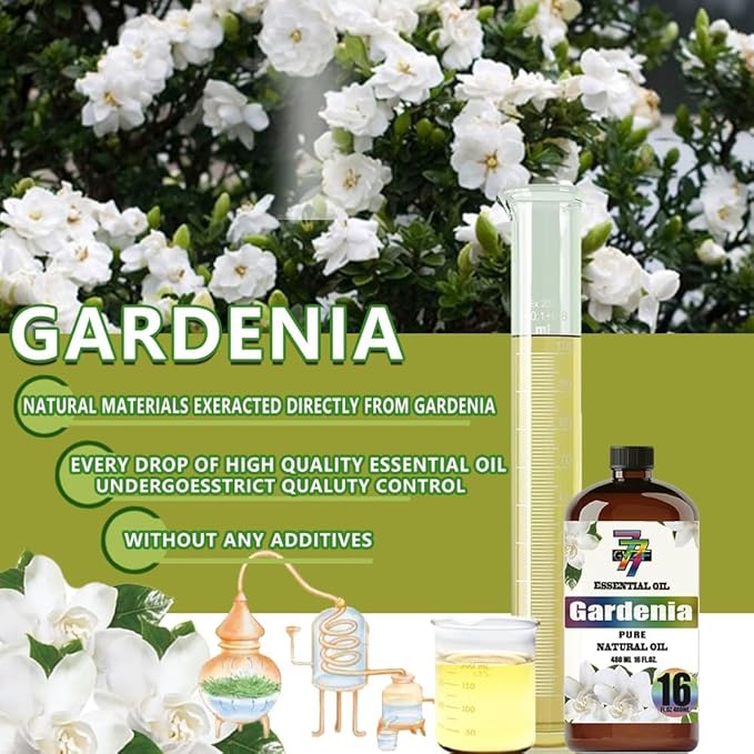 Gardenia Essential Oil - GV77ZF Gardenia Oils for Diffusers, Humidifiers, DIY Candles, Soap, Cleaning, Home, Office, Yoga, Massage, Gifts - 16 fl oz (480 ml)