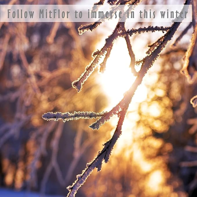 Fragrance Oils, MitFlor Winter Essential Oils for Diffusers for Home, 6 x10ml, Soap & Candle Making Scents, Premium Holiday Aromatherapy Gift Set -Frosty Fir, Hot Spring, Fireplace & More