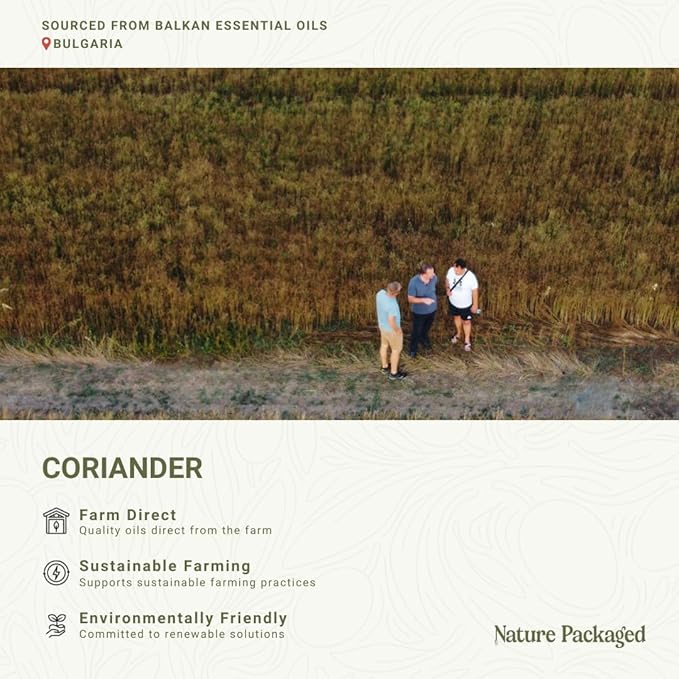 Coriander Essential Oil - Direct from Bulgarian Balkan Mountains - Steam Distilled - Aceite Cilantro for Aromatherapy, Massage, Diffuser, DIY Candle and Soap Making - 2lbs