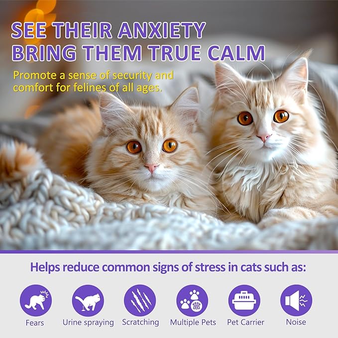 OcePor Cat Calming Diffuser 4 Refill Solutions, 2 Plugs- Cat Pheromones Calming Diffuser Refill, Pheromone Diffuser to Calm Cats, Cat Anxiety Relief