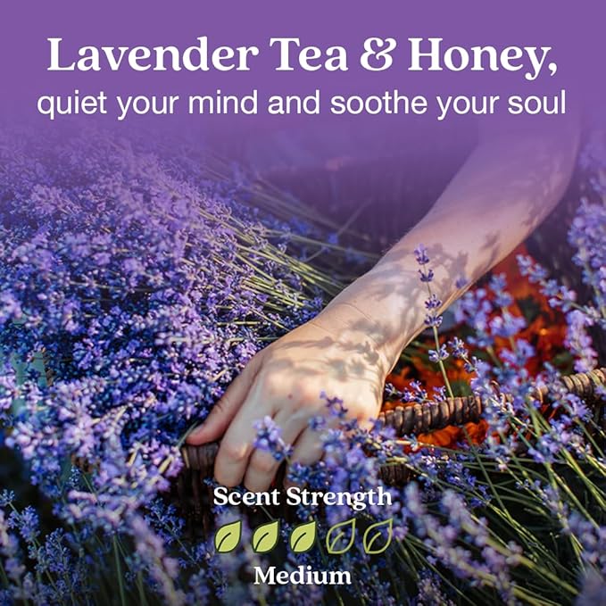 Enviroscent Non-Toxic Air Freshener Plug Hub® Warmer Refillable Kit - Refillable Plug-in Air Freshener - Home Fragrance Lasts Up to 45 Days - Mother’s Day Gift for Mom - Lavender Tea & Honey Scent