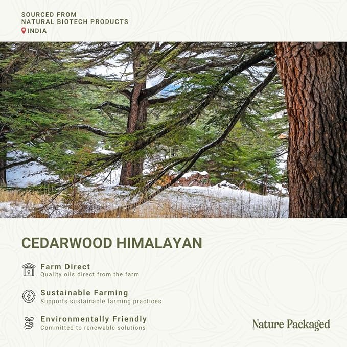 Cedarwood Himalayan Essential Oil - 100% Pure Steam Distilled Natural Cedarwood Himalayan Oil (Aceite de Cedro) from Natural Biotech NBT India for Aromatherapy & DIY Projects - 8oz