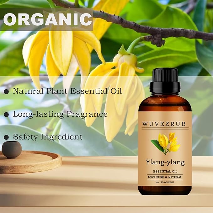 Ylang-Ylang Essential Oils, 30ML Pure and Natural Essential Oil for Aromatherapy Diffuser - Ylang-Ylang /1 Fl Oz