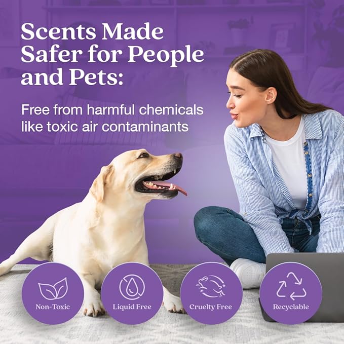Enviroscent Non-Toxic Air Freshener Plug Hub® Warmer Refillable Kit - Refillable Plug-in Air Freshener - Home Fragrance Lasts Up to 45 Days - Mother’s Day Gift for Mom - Lavender Tea & Honey Scent