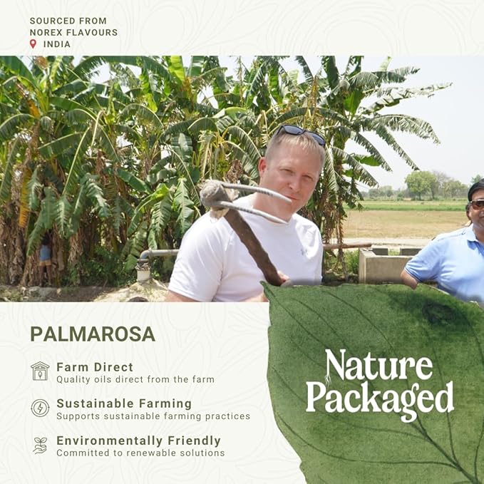 Palmarosa Essential Oil Direct from Norex Flavours India for Skin and Aromatherapy - Aceite de Palmarosa for Candle Scent for Candlemaking and Soaps (8oz)