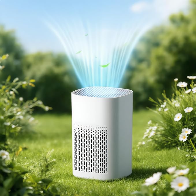 Air Purifier with Aromatherapy Function, Essential Oil Diffuser 2-in-1, HEPA Filter Air Cleaner for Home Bedroom Living Room Kitchen Office, 360° Top-Outlet Design, Silent Sleep Mode