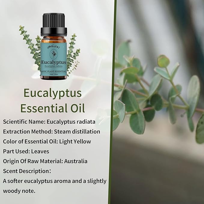 yethious Peppermint Eucalyptus Essential Oil 10ML Natural Peppermint Essential Oil Gift Set for Aromatherapy & Diffuser, Fragrance, Soap Candle Making