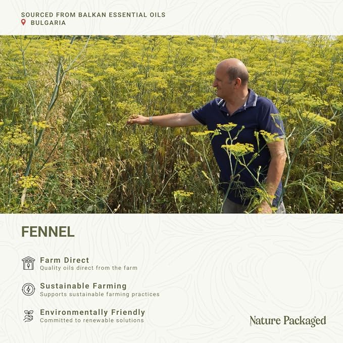 Fennel Essential Oil (Sweet Fennel) - Direct from Balkan Essential Oils - Pure Aromatherapy Diffuser Oils | 100% Pure Therapeutic Grade Natural Aceite de Hinojo - 8oz