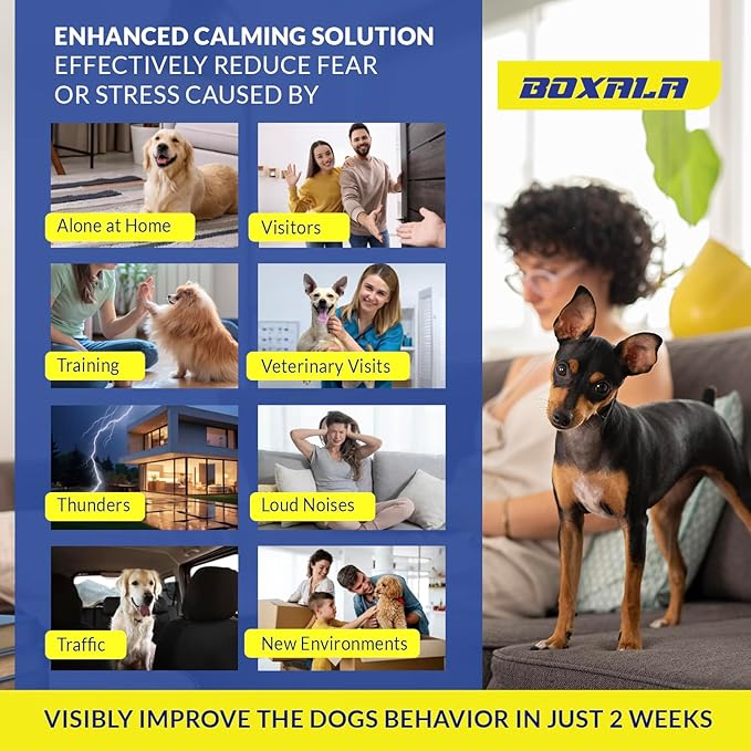 Dog Pheromones Calming Diffuser: Dog Calming Diffuser - Advanced Kit Appeasing Pheromone Diffuser for Dogs - Anxiety Relief for Dogs - Reduce Barking Aggression Fighting Stress - 2 Pack 45ml Refill