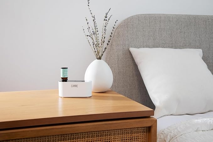 CE CRAFT Waterless Travel Diffuser Gift Set - Rechargeable Diffuser for Aromatherapy - Includes 3 Fragrance Oils - Fragrance Dispenser for Office and Home - Fruity, White