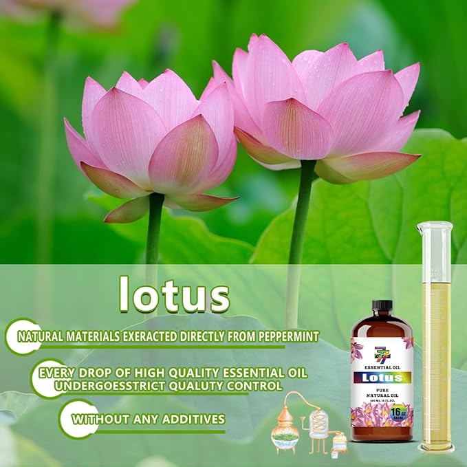 Lotus Essential Oil - GV77ZF Lotus Oils for Diffusers, Humidifiers, DIY Candles, Soap, Cleaning, Home, Office, Yoga, Massage, Gifts - 16 fl oz (480 ml)