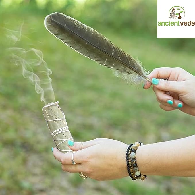 Ancient VEDA Organic Smudge Kit –Eucalyptus, Palo Santo, Sweetgrass Braid, Feather & Smudge Guide | Home Cleansing Kit for Meditation, Yoga, Energy Healing & Gift (Starter Kit, Eucalyptus Sage)