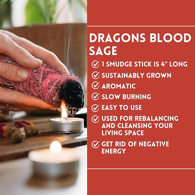 Ancient VEDA Organic Smudge Kit – Dragon's Blood, Palo Santo, Sweetgrass, Abalone Shell, Feather & Smudge Guide | Smudging Kit for Home Energy Cleansing, Meditation (Healer's Kit, Dragon's Blood Sage)