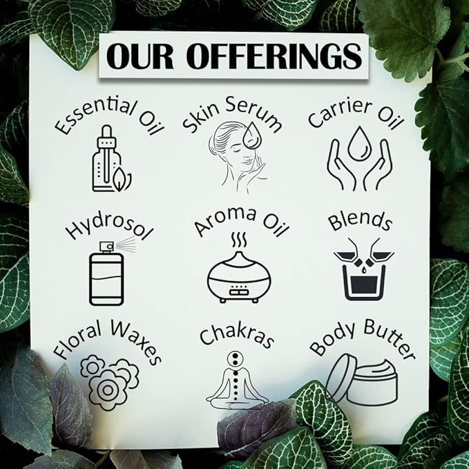 dève herbes Walnut Oil (Juglans regia) with Glass Dropper | Cold Pressed | Pure | Natural | For Diluting Essential oils | For Hair, Skin & Massage | Non-Sticky| Lightweight| Unisex | 120ml (4 oz)