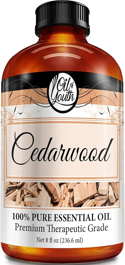 Oil of Youth Essential Oils 8oz - Cedarwood Essential Oil - 8 Fluid Ounces - Cedar Oils - Cedarwood Oil
