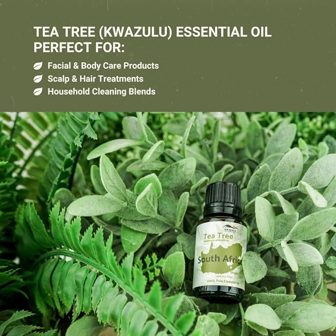 Tea Tree Essential Oil - Direct from Kwazulu Botanicals South Africa - Steam Distilled - Aceite Esencial de Árbol de Té for Aromatherapy, Diffuser, DIY Candle and Soap Making - 2lbs