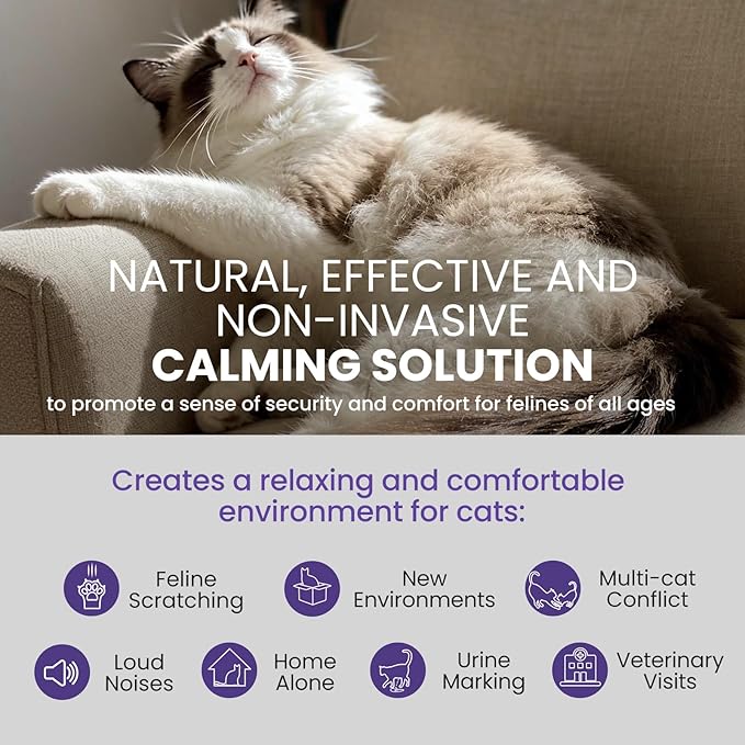Cat Calming Pheromone Diffuser Refills, 6‑Pack (48ml Each) – Odorless & Long‑Lasting – Reduces Scratching, Peeing, Meowing, Hiding, Marking & Aggression – Compatible with Most Bases