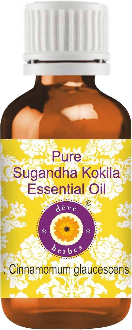 dève herbes Sugandha Kokila Essential Oil (Cinnamomum glaucescens) Pure | Non-Sticky | Non-Greasy | Lightweight | Men & Women | All Skin Types | Steam Distilled 30ml (1 oz)