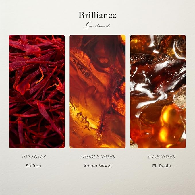 Scentiment Diffuser Oil Sample Set – 3 Pack (Royalty, Brilliance, Santal) | Pineapple, Saffron & Cardamom Blends | Luxury Hotel-Inspired Fragrance Oils for Cold Air Diffusers (3 x 20ml / 0.68 Fl Oz)