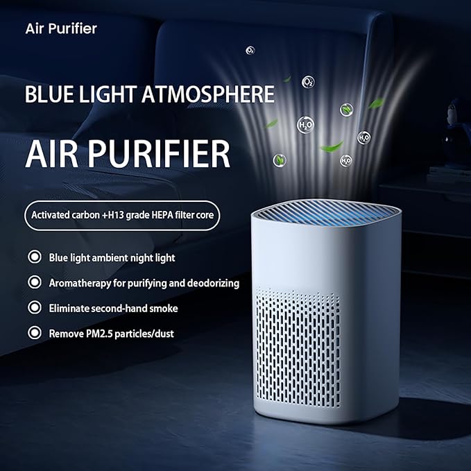 Air Purifier with Aromatherapy Function, Essential Oil Diffuser 2-in-1, HEPA Filter Air Cleaner for Home Bedroom Living Room Kitchen Office, 360° Top-Outlet Design, Silent Sleep Mode
