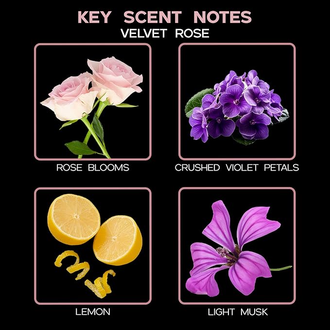 LOVSPA Velvet Rose Diffuser Oil - Luxury Essential Oils for Diffuser Refill & Air Freshener Room Spray - Long-Lasting & Natural Home Fragrance, Scented Oil for Diffusers, USA Made, 4oz
