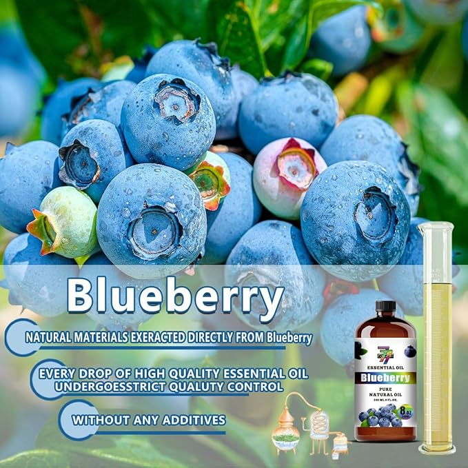 Blueberry Essential Oil - GV77ZF Blueberry Oils for Diffusers, Humidifiers, DIY Candles, Soap, Cleaning, Home, Office, Yoga, Massage, Gifts - 8 fl oz (240 ml)