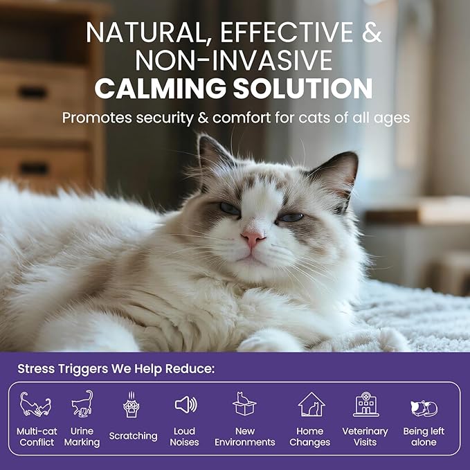 Cat Calming Diffuser for Cats – Pheromone Diffuser to Calm Cats – Multi‑Cat Starter Kit (1 Plug‑in + 48ml Refill) – Reduces Scratching, Meowing, Hiding, Urine Marking – Odorless