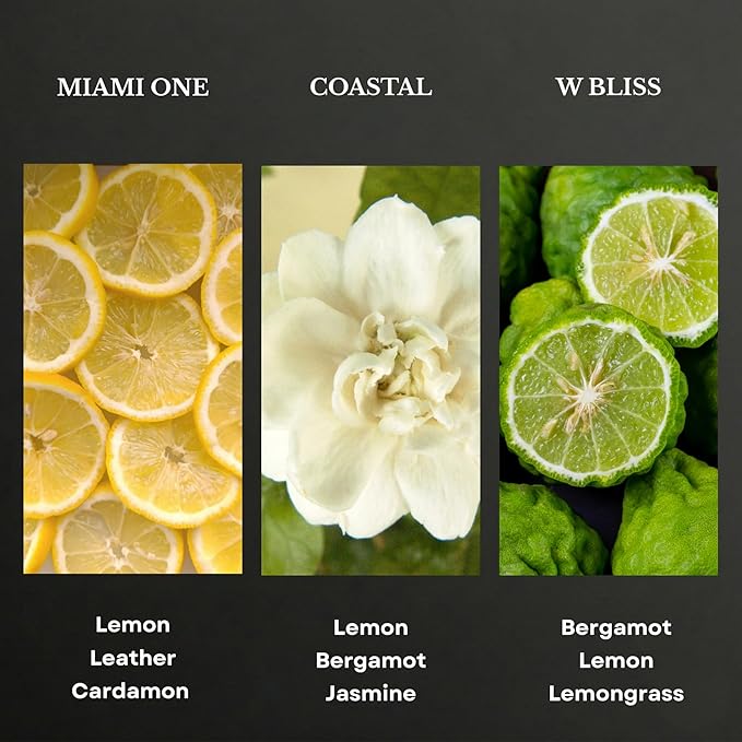 Scentia Hotel Essential Oils 3-Pack - Miami One, Coastal & W Bliss Luxury Aromatherapy Diffuser Oils - 3x20ml