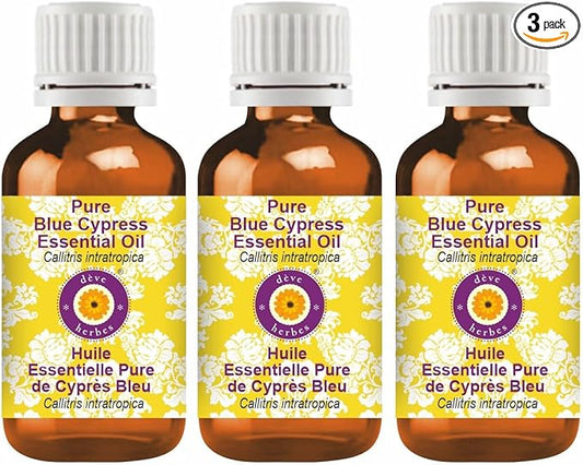 dève herbes Pure Blue Cypress Essential Oil (Callitris intratropica) Natural Therapeutic Grade Steam Distilled (Pack of Three) 100mlx3 (10 oz)